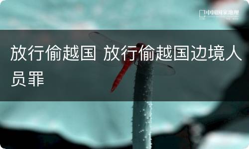 放行偷越国 放行偷越国边境人员罪