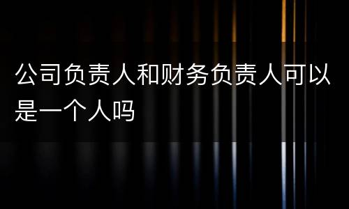 公司负责人和财务负责人可以是一个人吗