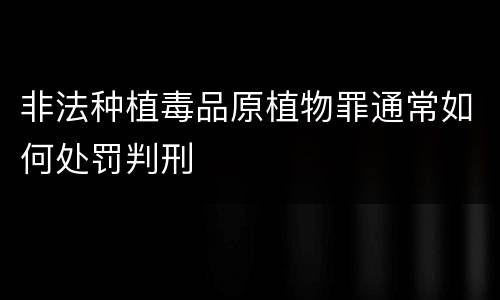非法种植毒品原植物罪通常如何处罚判刑