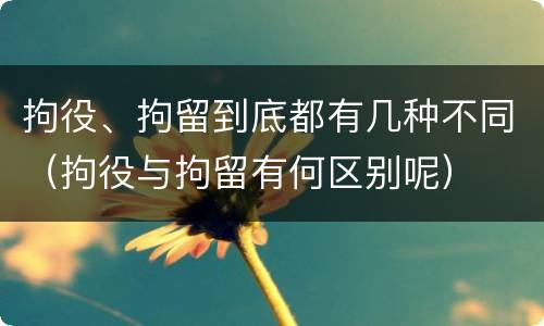 拘役、拘留到底都有几种不同（拘役与拘留有何区别呢）