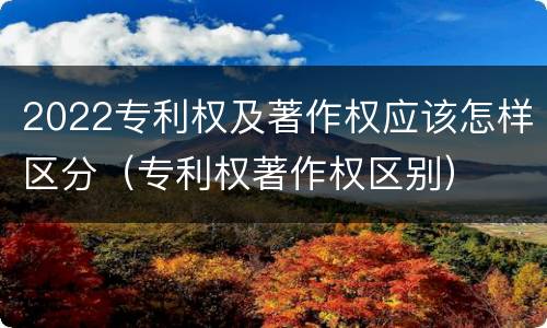 2022专利权及著作权应该怎样区分（专利权著作权区别）