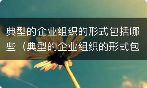 典型的企业组织的形式包括哪些（典型的企业组织的形式包括哪些内容）