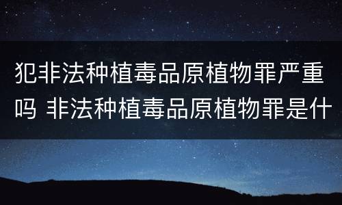 犯非法种植毒品原植物罪严重吗 非法种植毒品原植物罪是什么犯罪类型
