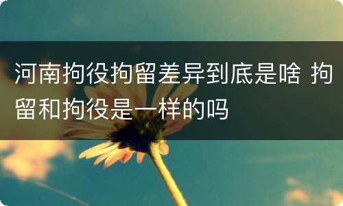 河南拘役拘留差异到底是啥 拘留和拘役是一样的吗