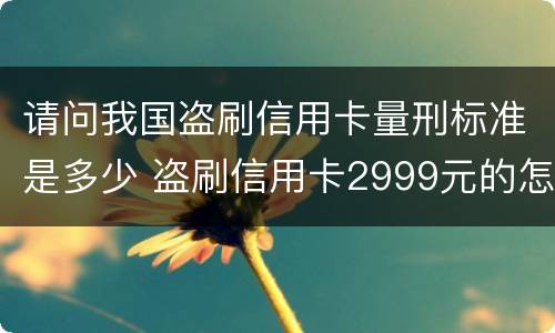 请问我国盗刷信用卡量刑标准是多少 盗刷信用卡2999元的怎么定罪