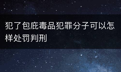 犯了包庇毒品犯罪分子可以怎样处罚判刑