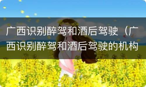 广西识别醉驾和酒后驾驶（广西识别醉驾和酒后驾驶的机构）