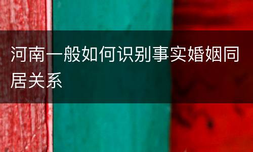 河南一般如何识别事实婚姻同居关系