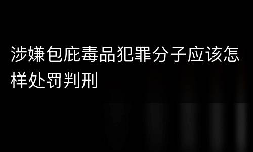 涉嫌包庇毒品犯罪分子应该怎样处罚判刑