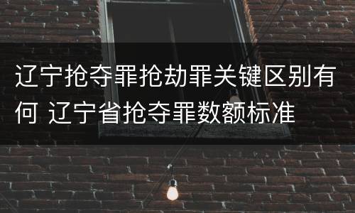 辽宁抢夺罪抢劫罪关键区别有何 辽宁省抢夺罪数额标准