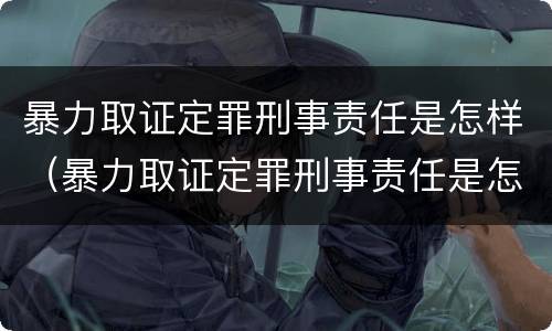 暴力取证定罪刑事责任是怎样（暴力取证定罪刑事责任是怎样定义的）