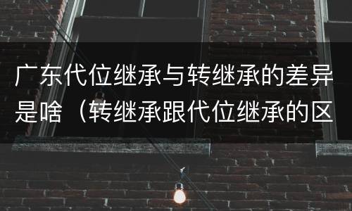 广东代位继承与转继承的差异是啥（转继承跟代位继承的区别）