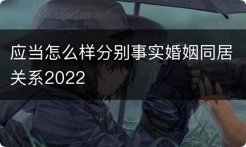 应当怎么样分别事实婚姻同居关系2022