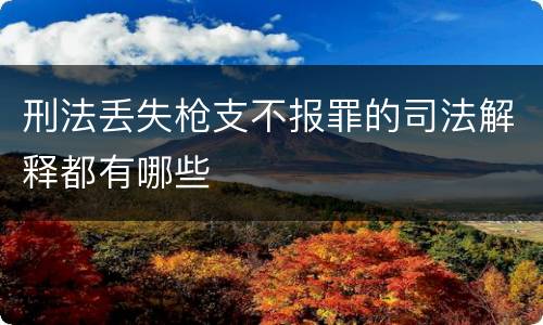 刑法丢失枪支不报罪的司法解释都有哪些
