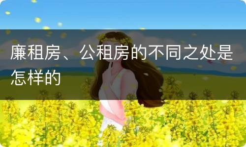 廉租房、公租房的不同之处是怎样的