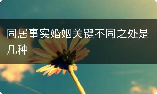 同居事实婚姻关键不同之处是几种