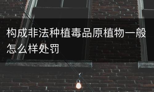 构成非法种植毒品原植物一般怎么样处罚