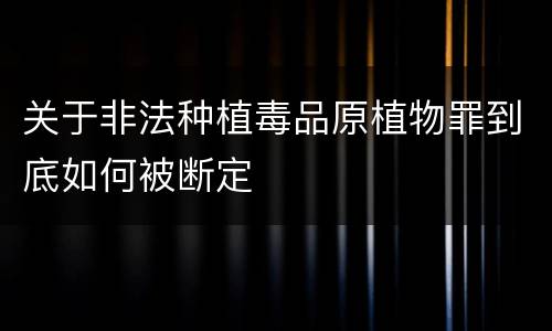 关于非法种植毒品原植物罪到底如何被断定