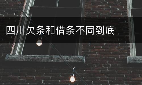 四川欠条和借条不同到底