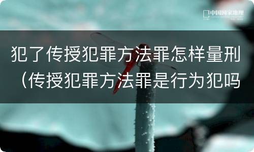 犯了传授犯罪方法罪怎样量刑（传授犯罪方法罪是行为犯吗）
