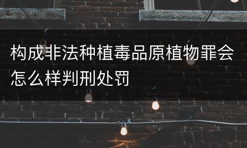 构成非法种植毒品原植物罪会怎么样判刑处罚