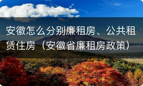 安徽怎么分别廉租房、公共租赁住房（安徽省廉租房政策）