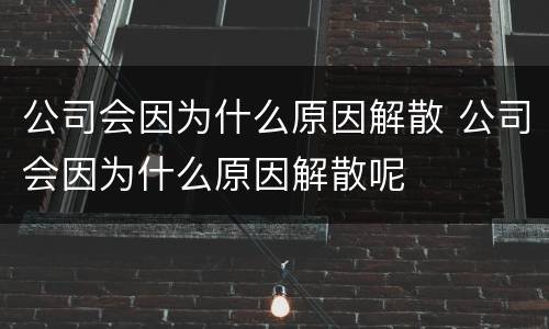 公司会因为什么原因解散 公司会因为什么原因解散呢