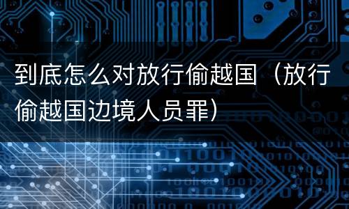 到底怎么对放行偷越国（放行偷越国边境人员罪）