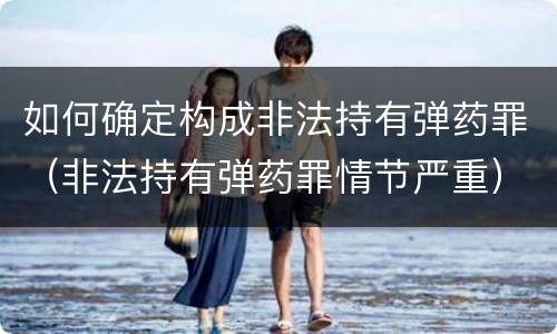如何确定构成非法持有弹药罪（非法持有弹药罪情节严重）