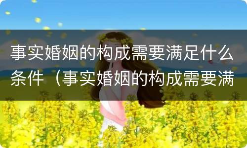 事实婚姻的构成需要满足什么条件（事实婚姻的构成需要满足什么条件呢）
