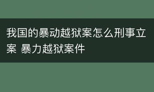 我国的暴动越狱案怎么刑事立案 暴力越狱案件