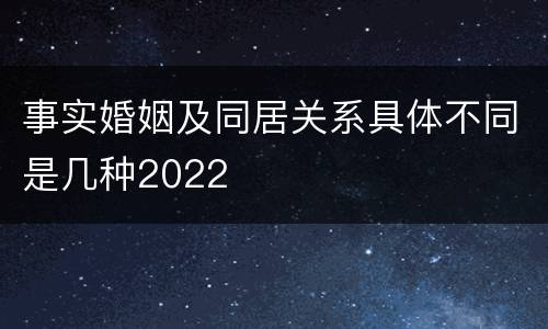 事实婚姻及同居关系具体不同是几种2022