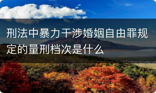 刑法中暴力干涉婚姻自由罪规定的量刑档次是什么