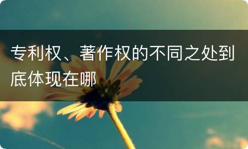 专利权、著作权的不同之处到底体现在哪
