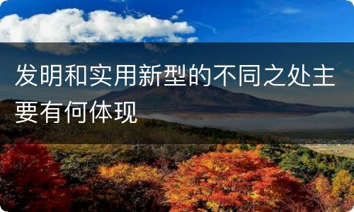 发明和实用新型的不同之处主要有何体现