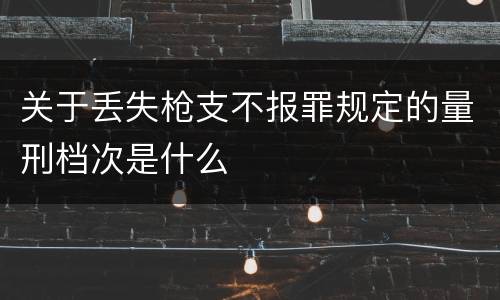 关于丢失枪支不报罪规定的量刑档次是什么