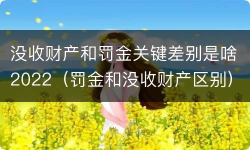 没收财产和罚金关键差别是啥2022（罚金和没收财产区别）