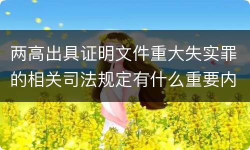 两高出具证明文件重大失实罪的相关司法规定有什么重要内容