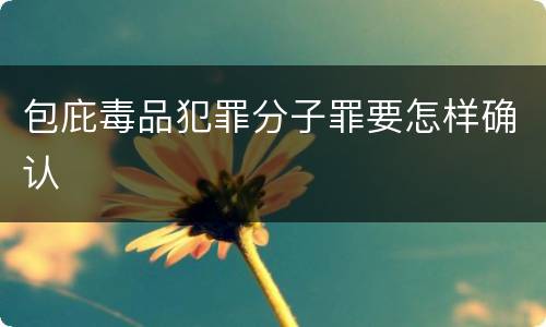 包庇毒品犯罪分子罪要怎样确认