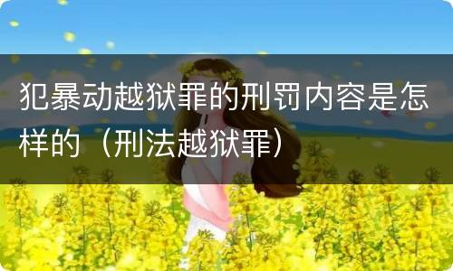 犯暴动越狱罪的刑罚内容是怎样的（刑法越狱罪）