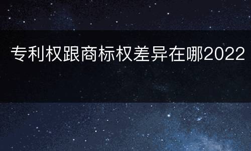 专利权跟商标权差异在哪2022