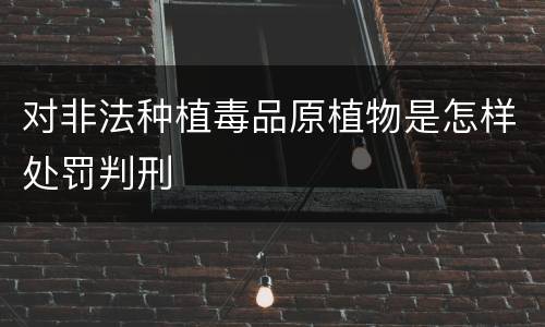 对非法种植毒品原植物是怎样处罚判刑