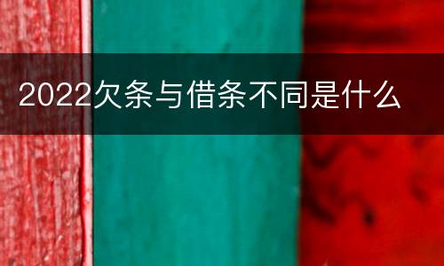 2022欠条与借条不同是什么