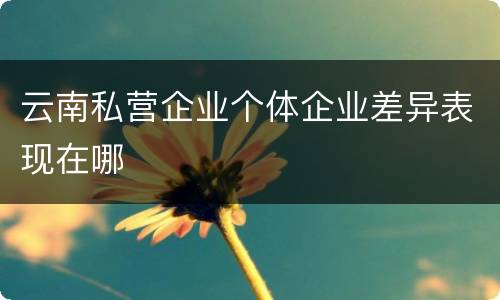 云南私营企业个体企业差异表现在哪
