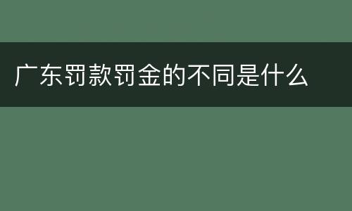 广东罚款罚金的不同是什么