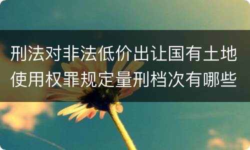 刑法对非法低价出让国有土地使用权罪规定量刑档次有哪些