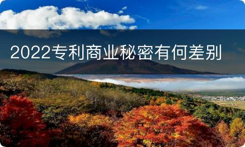 2022专利商业秘密有何差别