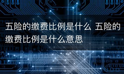 五险的缴费比例是什么 五险的缴费比例是什么意思