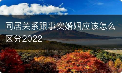 同居关系跟事实婚姻应该怎么区分2022