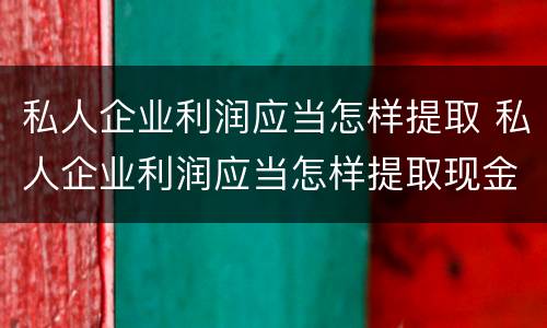 私人企业利润应当怎样提取 私人企业利润应当怎样提取现金